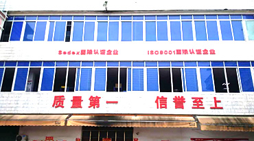 向日葵视频色板眼鏡通過ISO9001複審