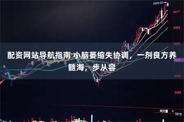 配资网站导航指南 小脑萎缩失协调，一剂良方养髓海，步从容